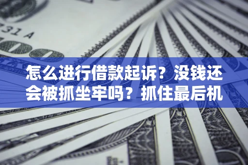 北京怎么进行借款起诉？没钱还会被抓坐牢吗？抓住最后机会！