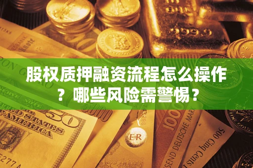 北京股权质押融资流程怎么操作？哪些风险需警惕？