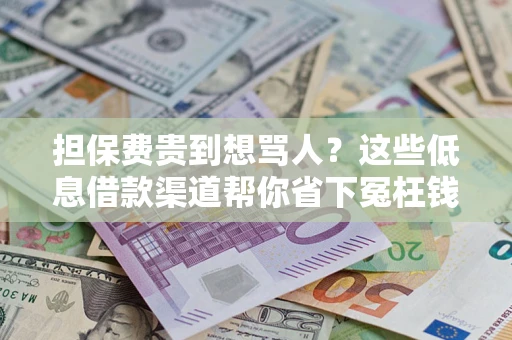 北京担保费贵到想骂人？这些低息借款渠道帮你省下冤枉钱