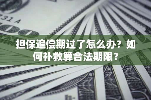 北京担保追偿期过了怎么办？如何补救算合法期限？
