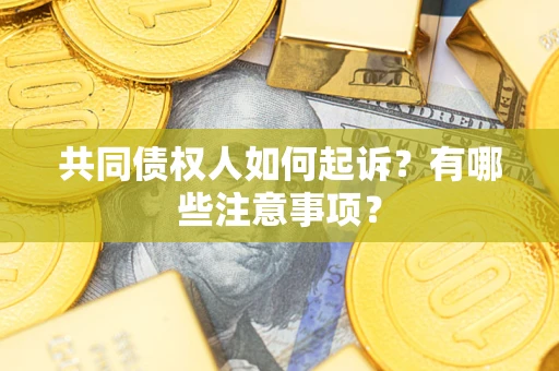 北京共同债权人如何起诉？有哪些注意事项？
